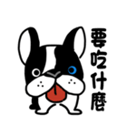 POKE (Boston Terrier )（個別スタンプ：20）