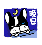 POKE (Boston Terrier )（個別スタンプ：22）