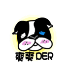 POKE (Boston Terrier )（個別スタンプ：23）