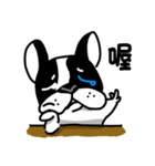 POKE (Boston Terrier )（個別スタンプ：25）