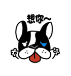POKE (Boston Terrier )（個別スタンプ：28）