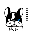 POKE (Boston Terrier )（個別スタンプ：31）