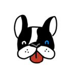 POKE (Boston Terrier )（個別スタンプ：32）