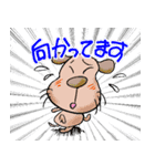 日々使えるイヌとネコと仲間たち（個別スタンプ：27）