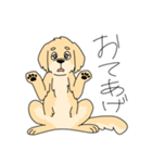 使いやすい犬のスタンプ（個別スタンプ：4）