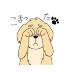 使いやすい犬のスタンプ（個別スタンプ：10）