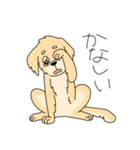 使いやすい犬のスタンプ（個別スタンプ：12）