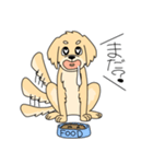 使いやすい犬のスタンプ（個別スタンプ：19）