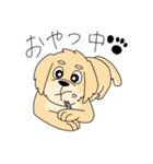 使いやすい犬のスタンプ（個別スタンプ：20）