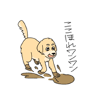 使いやすい犬のスタンプ（個別スタンプ：22）