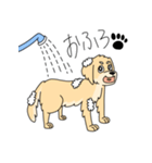 使いやすい犬のスタンプ（個別スタンプ：24）