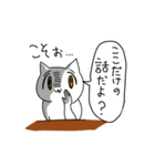 飲み友ねこ（個別スタンプ：1）