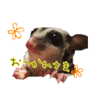 癒しのモモさん（個別スタンプ：2）