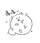 Cute pomeranian,NINIs lovely life ！（個別スタンプ：1）