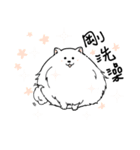 Cute pomeranian,NINIs lovely life ！（個別スタンプ：10）