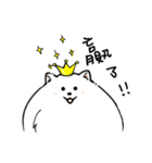 Cute pomeranian,NINIs lovely life ！（個別スタンプ：12）
