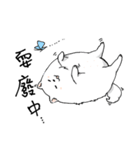 Cute pomeranian,NINIs lovely life ！（個別スタンプ：16）