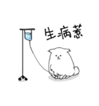Cute pomeranian,NINIs lovely life ！（個別スタンプ：34）