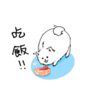 Cute pomeranian,NINIs lovely life ！（個別スタンプ：35）