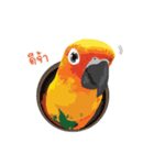 Sun Conure Parrot 2（個別スタンプ：1）