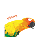 Sun Conure Parrot 2（個別スタンプ：2）