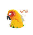 Sun Conure Parrot 2（個別スタンプ：4）