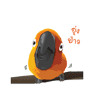 Sun Conure Parrot 2（個別スタンプ：6）