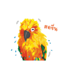 Sun Conure Parrot 2（個別スタンプ：8）