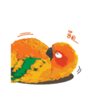 Sun Conure Parrot 2（個別スタンプ：10）