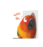 Sun Conure Parrot 2（個別スタンプ：12）