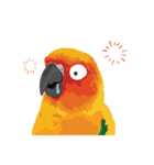 Sun Conure Parrot 2（個別スタンプ：13）