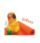 Sun Conure Parrot 2（個別スタンプ：18）