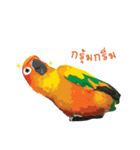 Sun Conure Parrot 2（個別スタンプ：23）