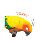 Sun Conure Parrot 2（個別スタンプ：26）