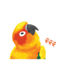 Sun Conure Parrot 2（個別スタンプ：27）