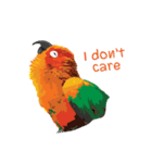 Sun Conure Parrot 2（個別スタンプ：28）