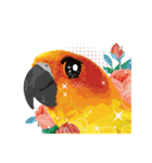 Sun Conure Parrot 2（個別スタンプ：29）