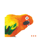 Sun Conure Parrot 2（個別スタンプ：30）