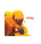 Sun Conure Parrot 2（個別スタンプ：31）