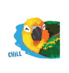 Sun Conure Parrot 2（個別スタンプ：32）