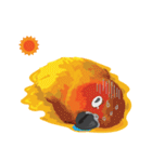 Sun Conure Parrot 2（個別スタンプ：33）