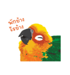 Sun Conure Parrot 2（個別スタンプ：39）