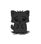 どこかのにゃんにゃ（個別スタンプ：24）