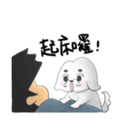 QbiiDogDog（個別スタンプ：9）