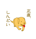 ラブのアルファ（個別スタンプ：15）