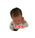 Brownie baby's Life（個別スタンプ：10）