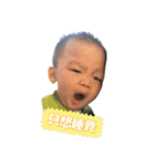 Brownie baby's Life（個別スタンプ：11）
