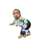 Brownie baby's Life（個別スタンプ：17）