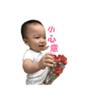 Brownie baby's Life（個別スタンプ：22）