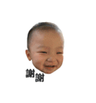 Brownie baby's Life（個別スタンプ：24）
